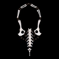 Image 4 of "Gian" Dog Vertebrae and Pelvic Bone Necklace