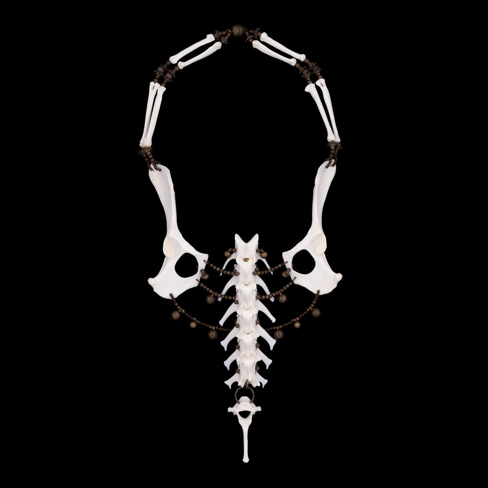 Image of "Gian" Dog Vertebrae and Pelvic Bone Necklace