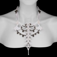 Image 1 of "Gian" Dog Vertebrae and Pelvic Bone Necklace