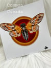 5"x5" Insect prints (5 options) C
