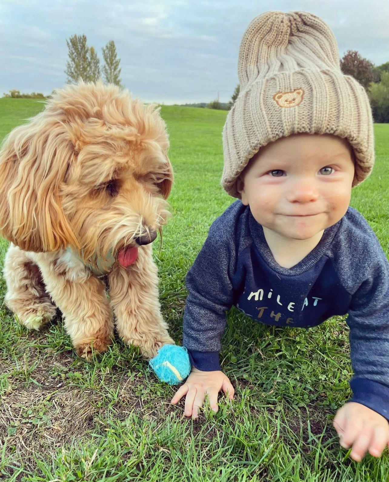 Teddy bear discount beanie