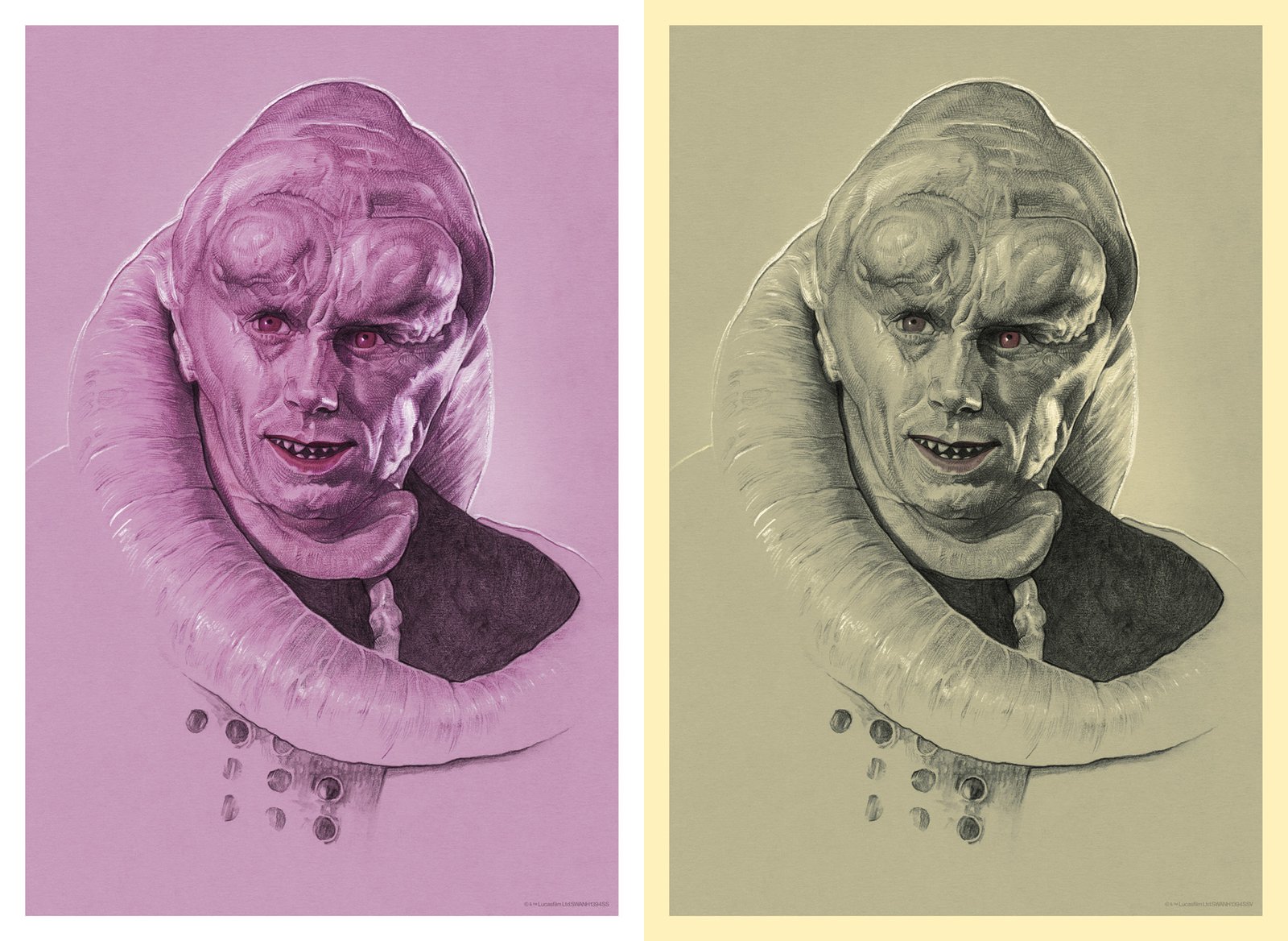 Bib fortuna hot sale