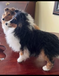 Image 1 of  9" Standing Sheltie/sable,tri or blue merle