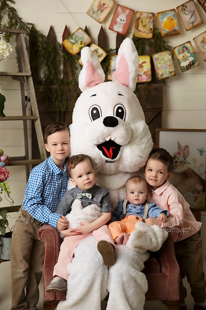 Image of Bunny Session