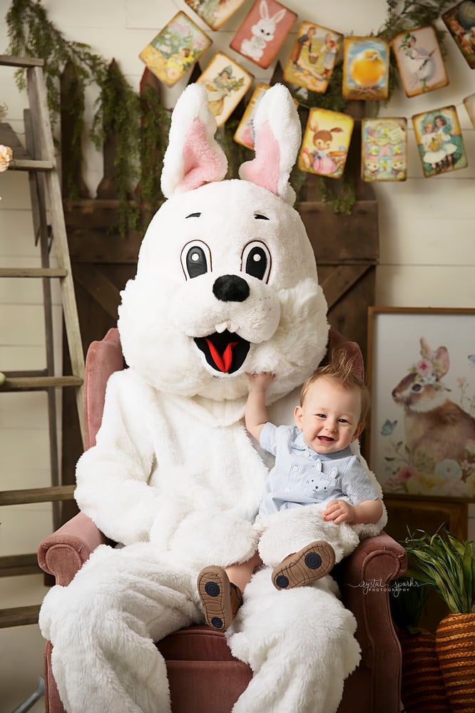 Image of Bunny Session