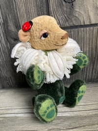 Image 3 of Daisy Bear