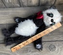 Image 5 of Shaggy Panda