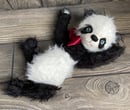 Image 1 of Shaggy Panda