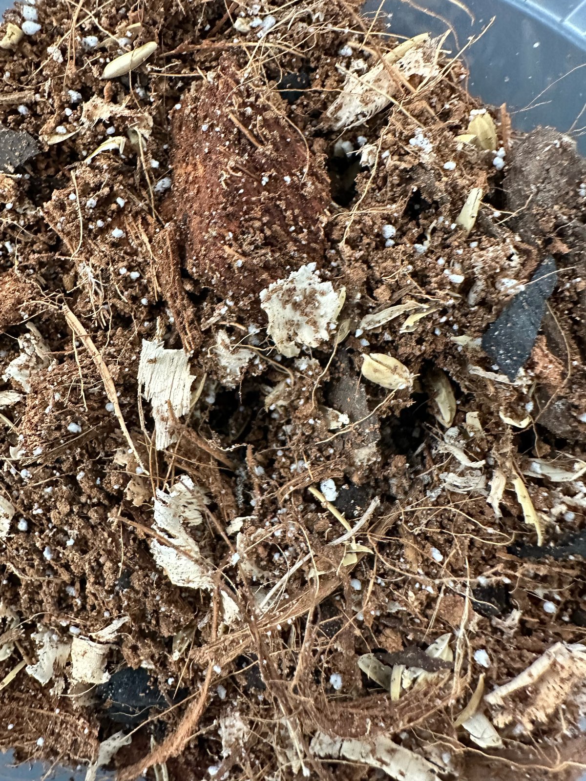 Image of Forest FLOOR Soil Blend
