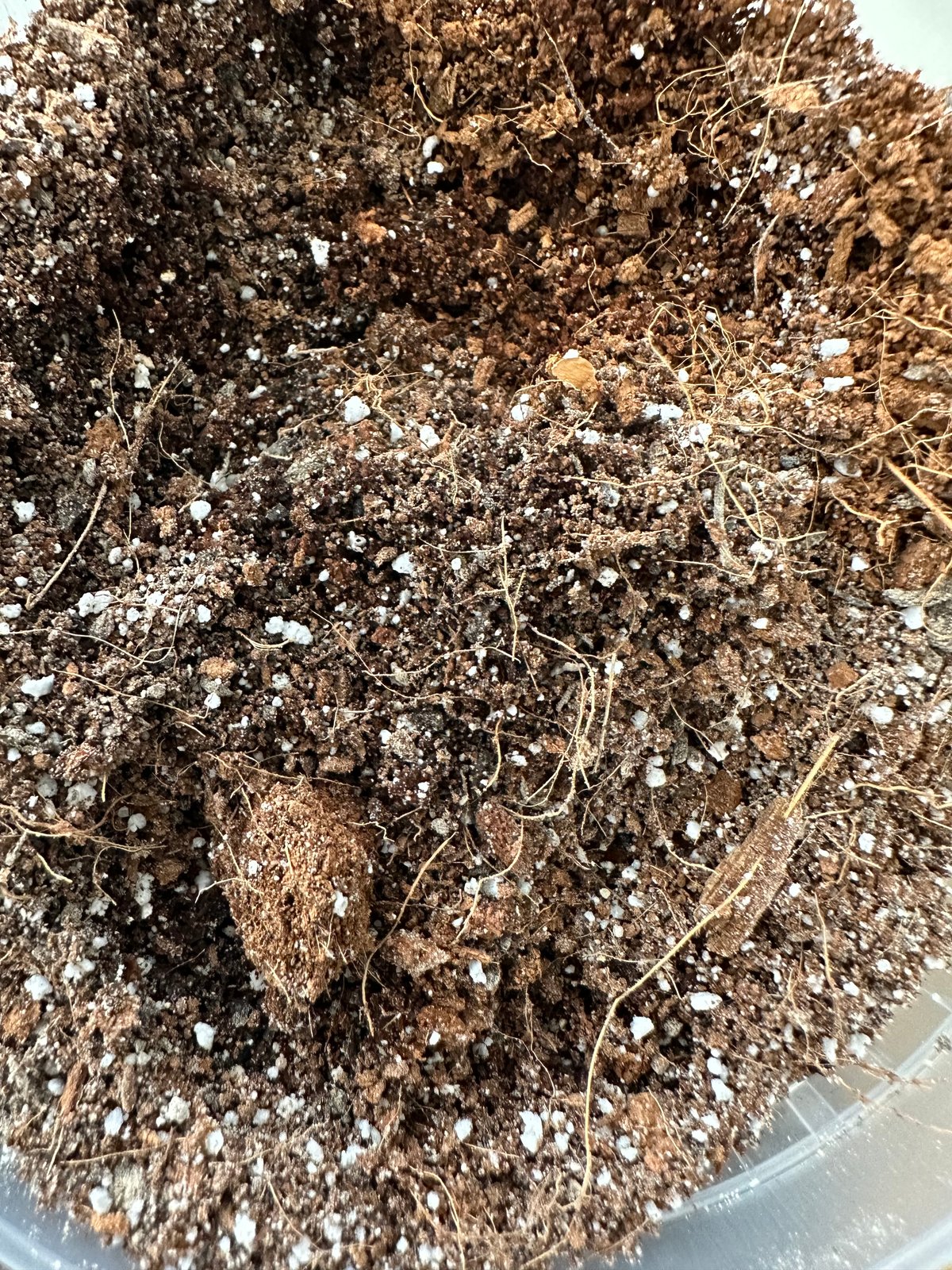 Image of Forest FIRE Soil Blend