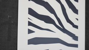 Zebra / Save