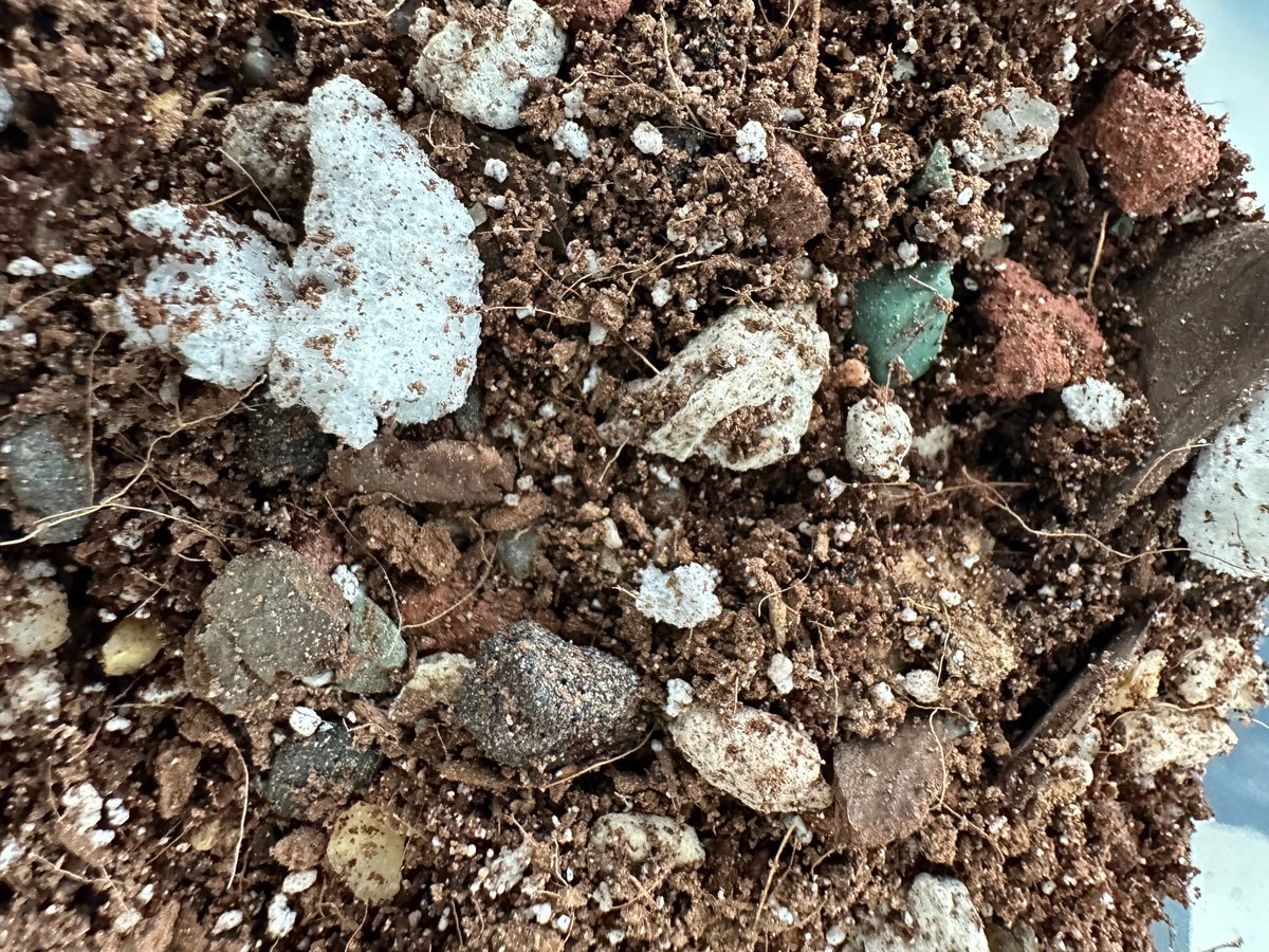 Image of Cactus and Succulent Soil Blend