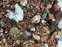 Image of "Desert Floor" Cactus and Succulent Potting Soil Blend (64 oz)