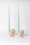 Nautilus Candle Stick 