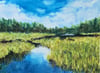 Spring Beaver Pond in Algonquin