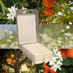 Orange Grove