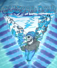 Image 2 of GRATEFUL DEAD MOUNTAIN SHRED LICENSED TIE DYE SHORT SLEEVE SHIRT
