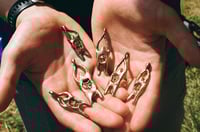 Image 1 of Intestinal wiggler in bronze 
