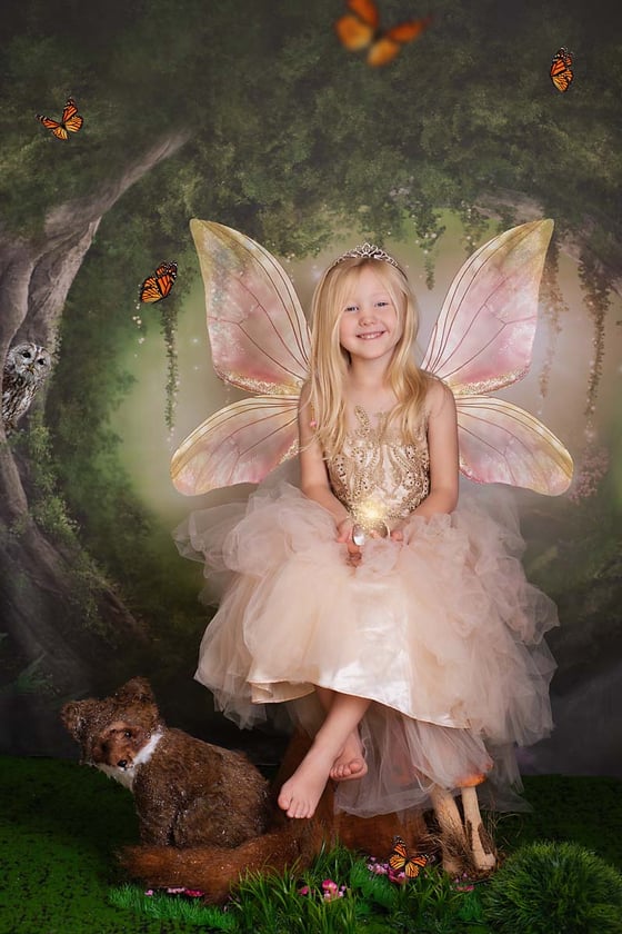 Image of Fairy photoshoot