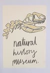 N is for ... Natural History Museum.