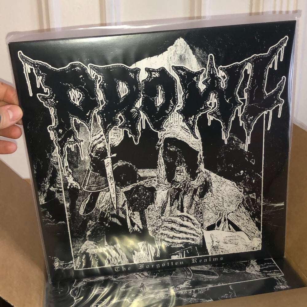THE FORGOTTEN REALMS Full Length LP