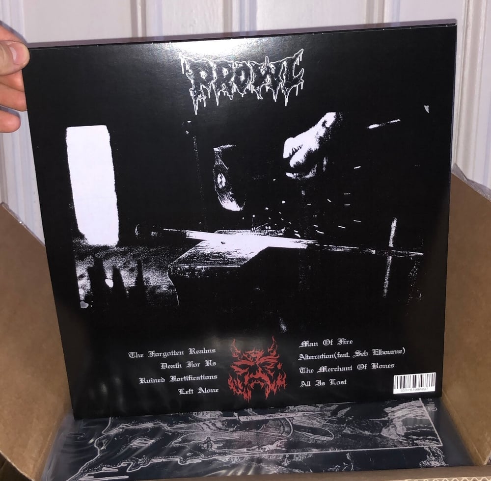 THE FORGOTTEN REALMS Full Length LP