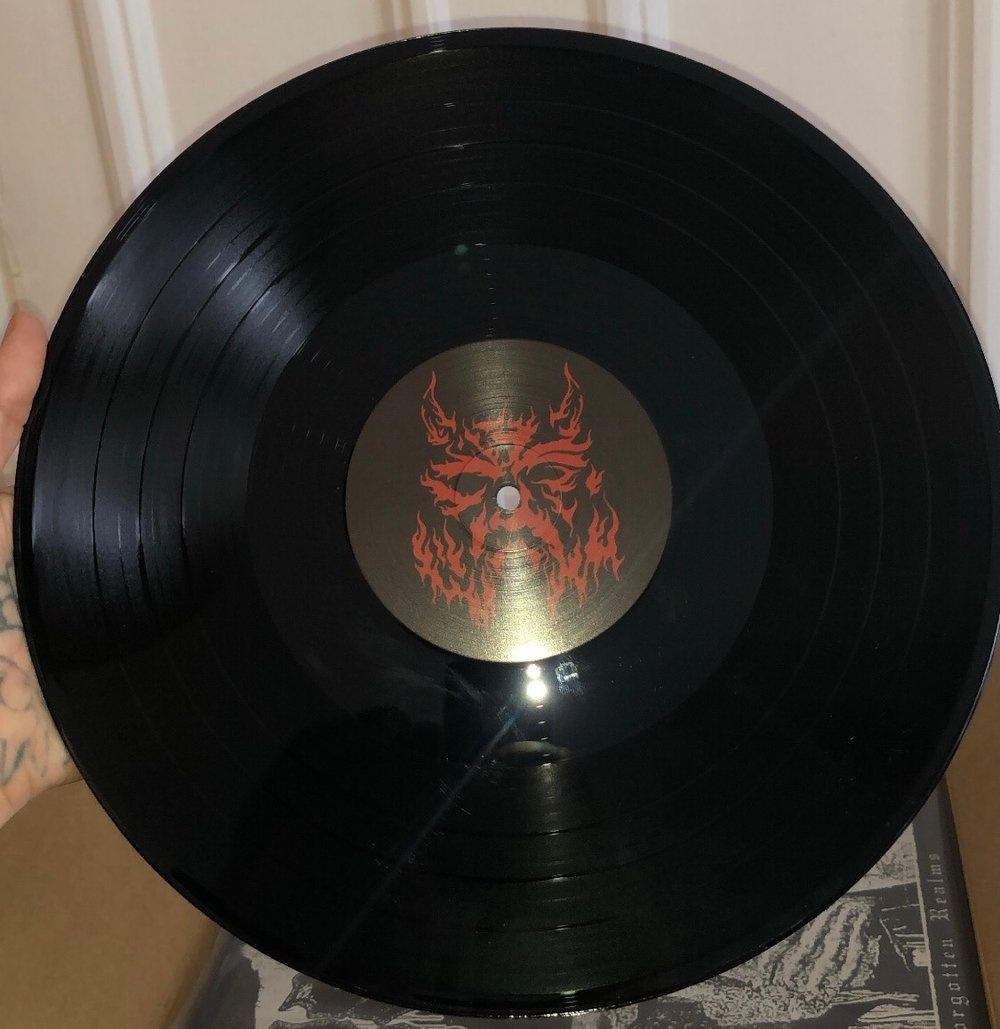 THE FORGOTTEN REALMS Full Length LP 