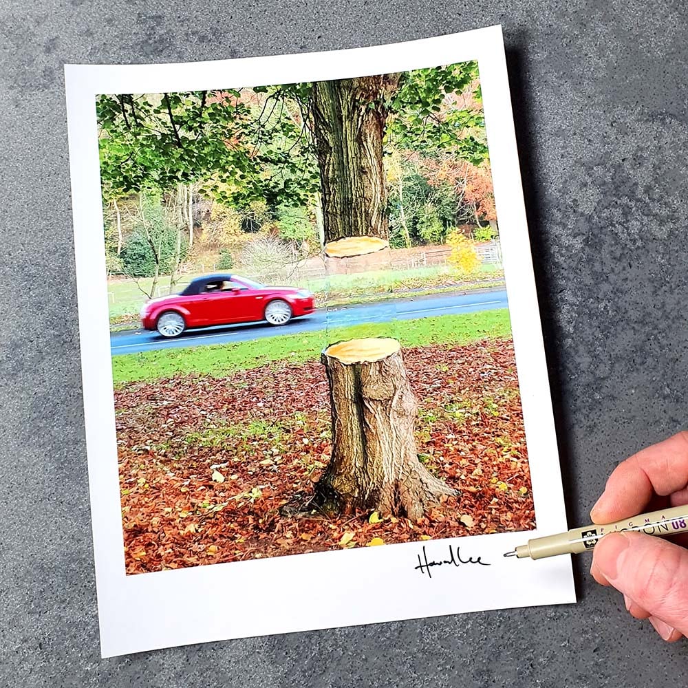 Image of Road Tree Signed 10 x 8 Print