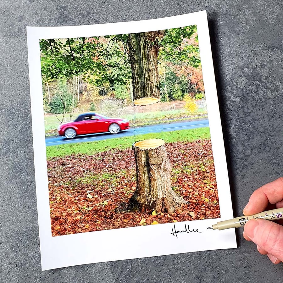 Image of Road Tree Signed 10 x 8 Print