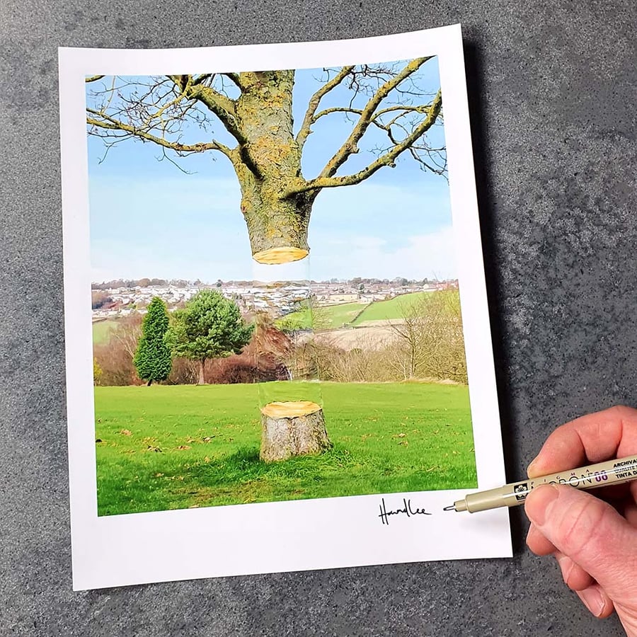 Image of Floating Tree Signed 10 x 8 Print 