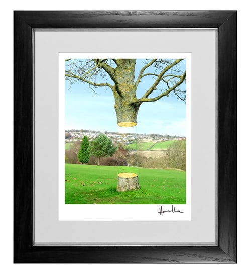 Image of Floating Tree Signed 10 x 8 Print
