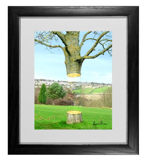 Image of Floating Tree Signed 10 x 8 Print 