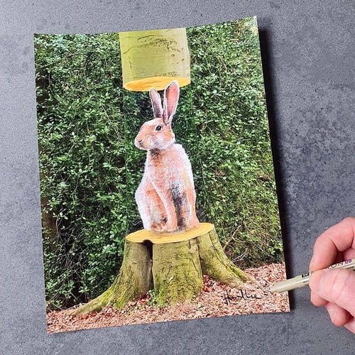 Image of Rabbit Tree Signed 10 x 8 Print