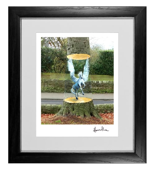 Image of Pegasus Tree Signed 10 x 8 Print