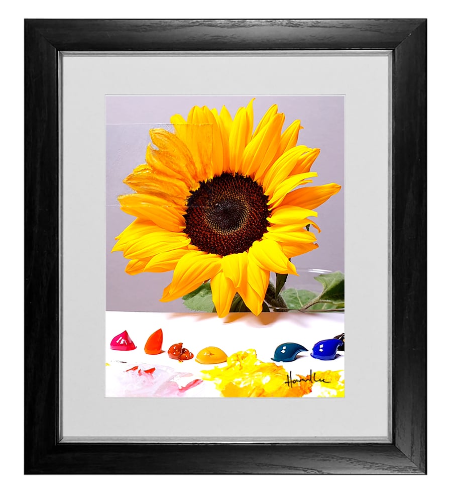 Image of Sunflower Signed 10 x 8 Print
