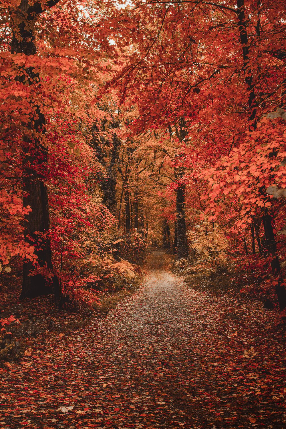 Image of Whispers of Autumn Candle