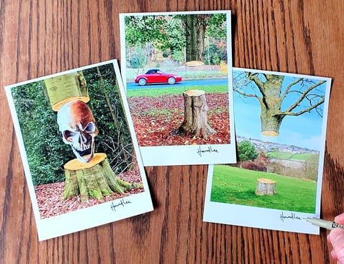 Image of Set of Six Signed 7 x 5 Tree Prints