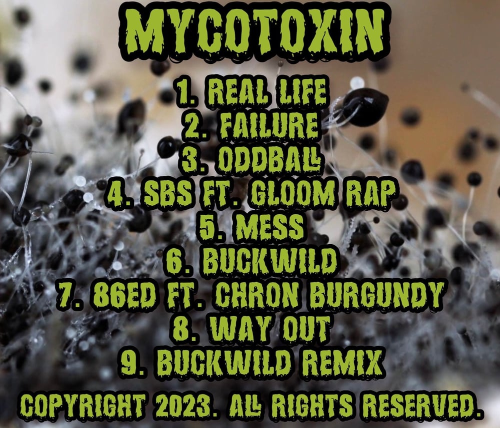 ILLtemper and Elgee Da BeatDetonator “Mycotoxin” CD