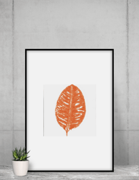 Image 4 of Ficus leaf monoprint