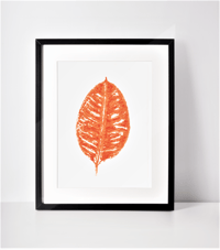 Image 1 of Ficus leaf monoprint
