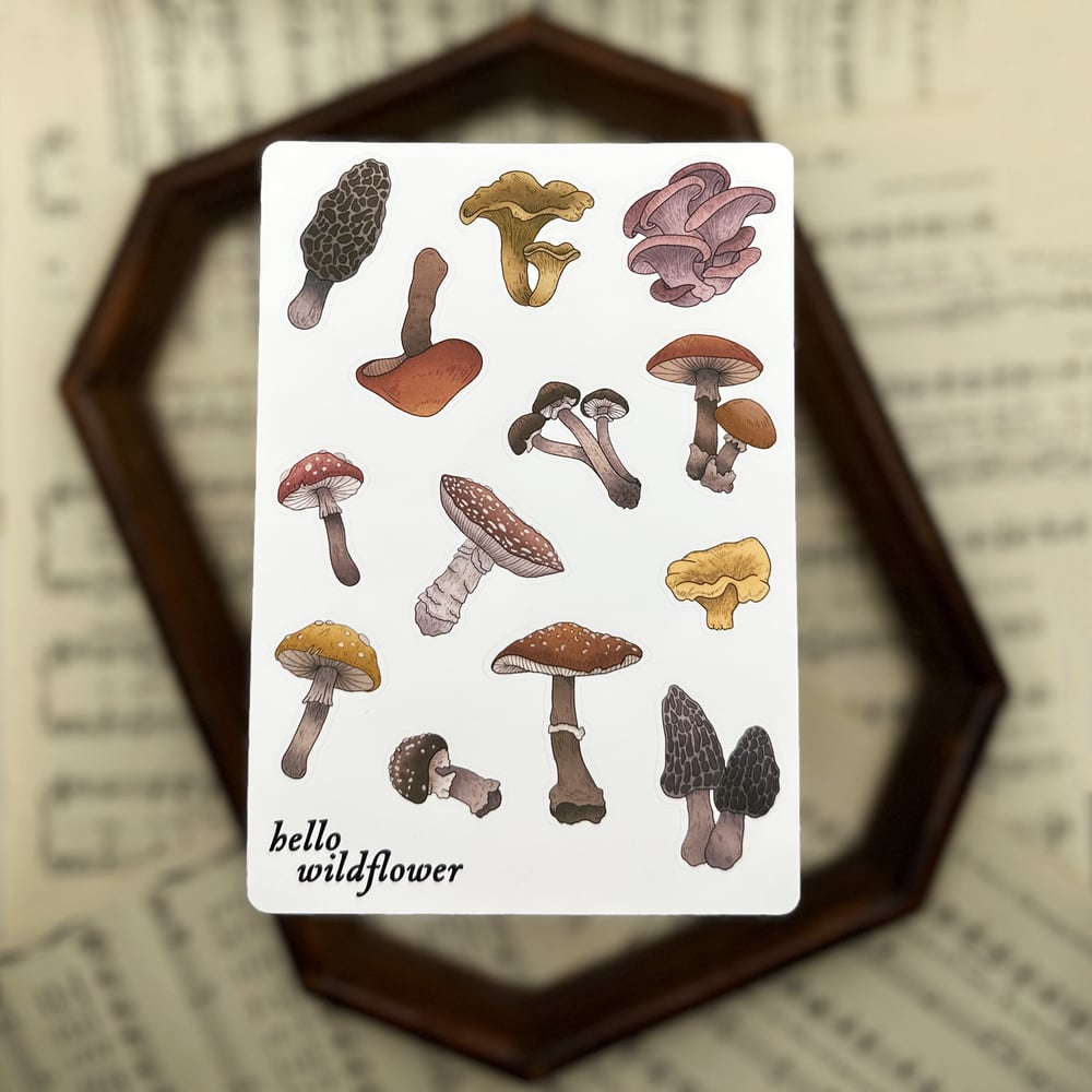 Image of Mushroom Forager Sticker Sheet