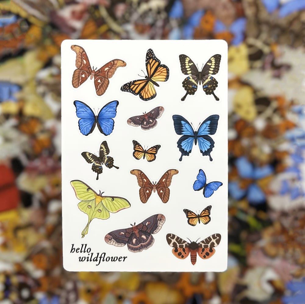 Image of Moths & Butterflies Sticker Sheet