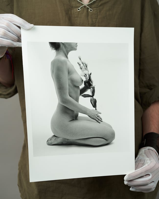 Lisianthus 2 - From flowers and elements project