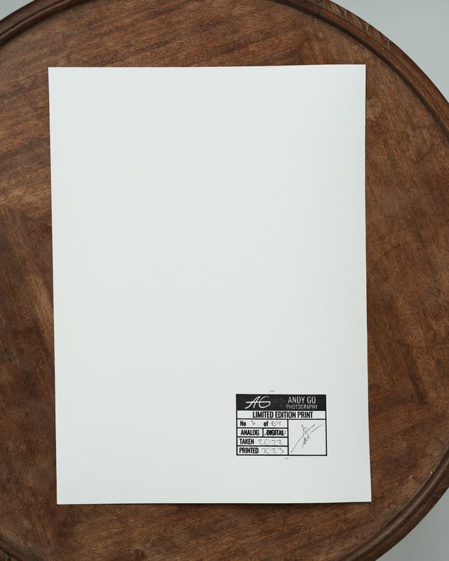 Lisianthus 2 - From flowers and elements project