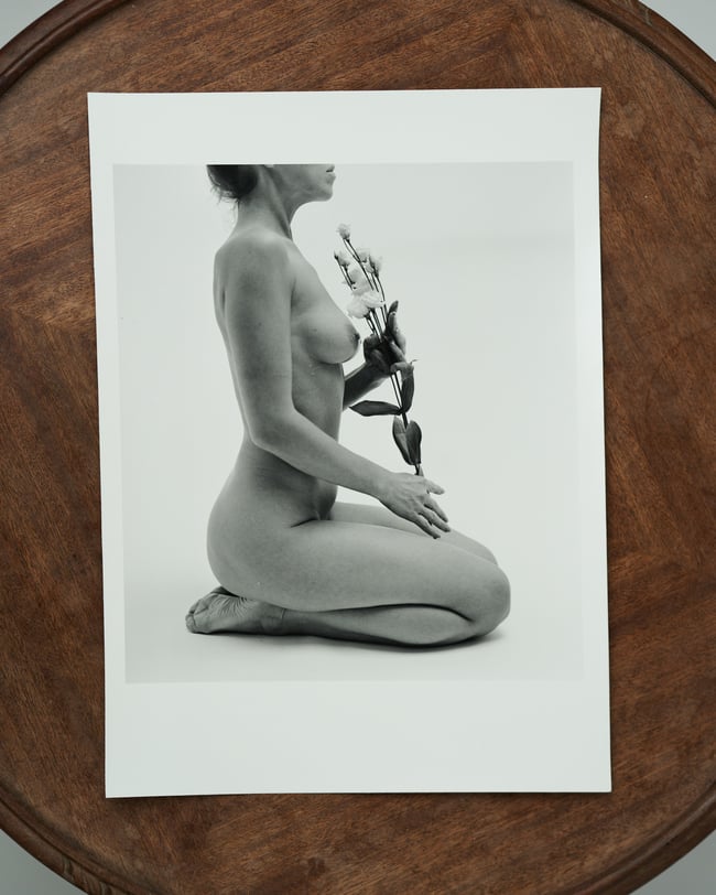 Lisianthus 2 - From flowers and elements project