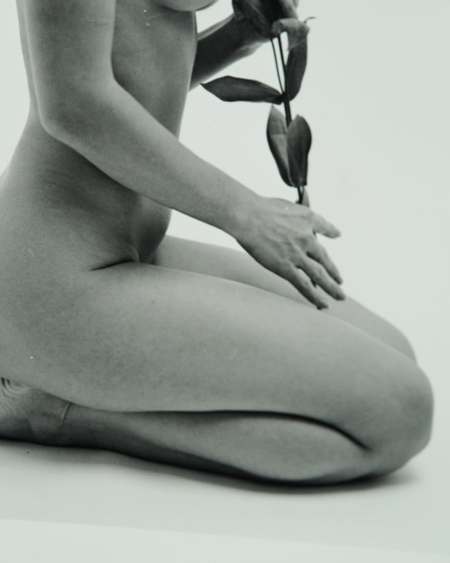 Lisianthus 2 - From flowers and elements project