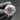 Sigil Sphere
