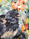 Delightful Peep – Dark Eyed Junco bird painting