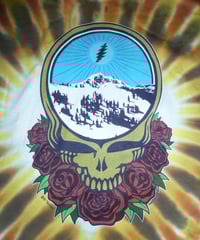 Image 2 of GRATEFUL DEAD LIFTED SNOW SKI TIE DYE SHORT SLEEVE TEE