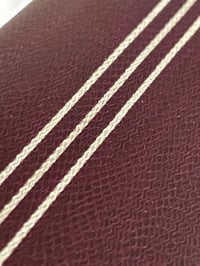 Image 5 of Burgaliner by Mikie